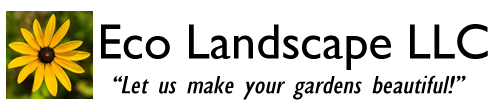 eco landscape